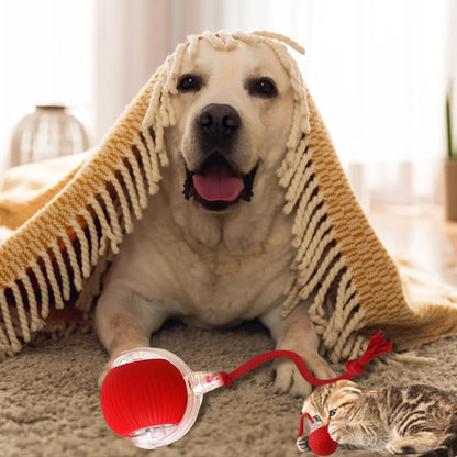 Chewie Ball, Chewie Viral Rolling Ball, Interactive Cat Ball Toy, Chewie Ball for Dogs, Chewie Smart Automatic Rolling Pet Ball, Automatic 360° Rotating Rolling Ball with USB Charging