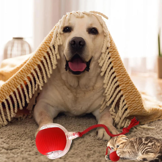 Chewie Ball, Chewie Viral Rolling Ball, Interactive Cat Ball Toy, Chewie Ball for Dogs, Chewie Smart Automatic Rolling Pet Ball, Automatic 360° Rotating Rolling Ball with USB Charging