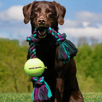 Flossy Chews Cottonblend 3 Knot Tug with Big 6" Tennis Ball Rope Dog Toy, Extra-Large, 36", Assorted Colors