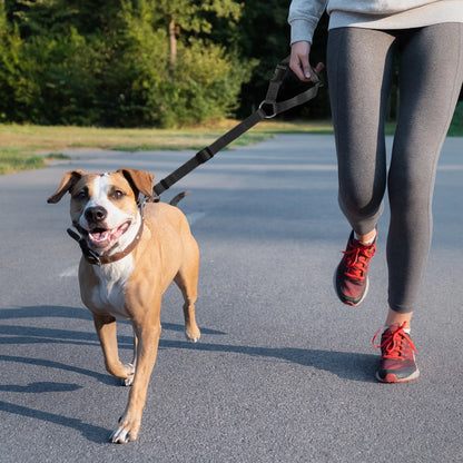 Dog Car Seat Belt,  2Pcs Nylon Tether Adjustable Pet Backseat Harness Seatbelt for Vehicle Travel Daily Use, Black