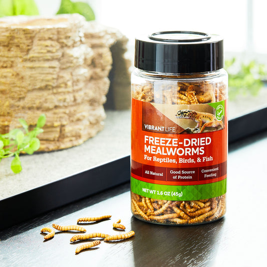 (2 Pack)  Freeze-Dried Mealworms, 1.6 Oz