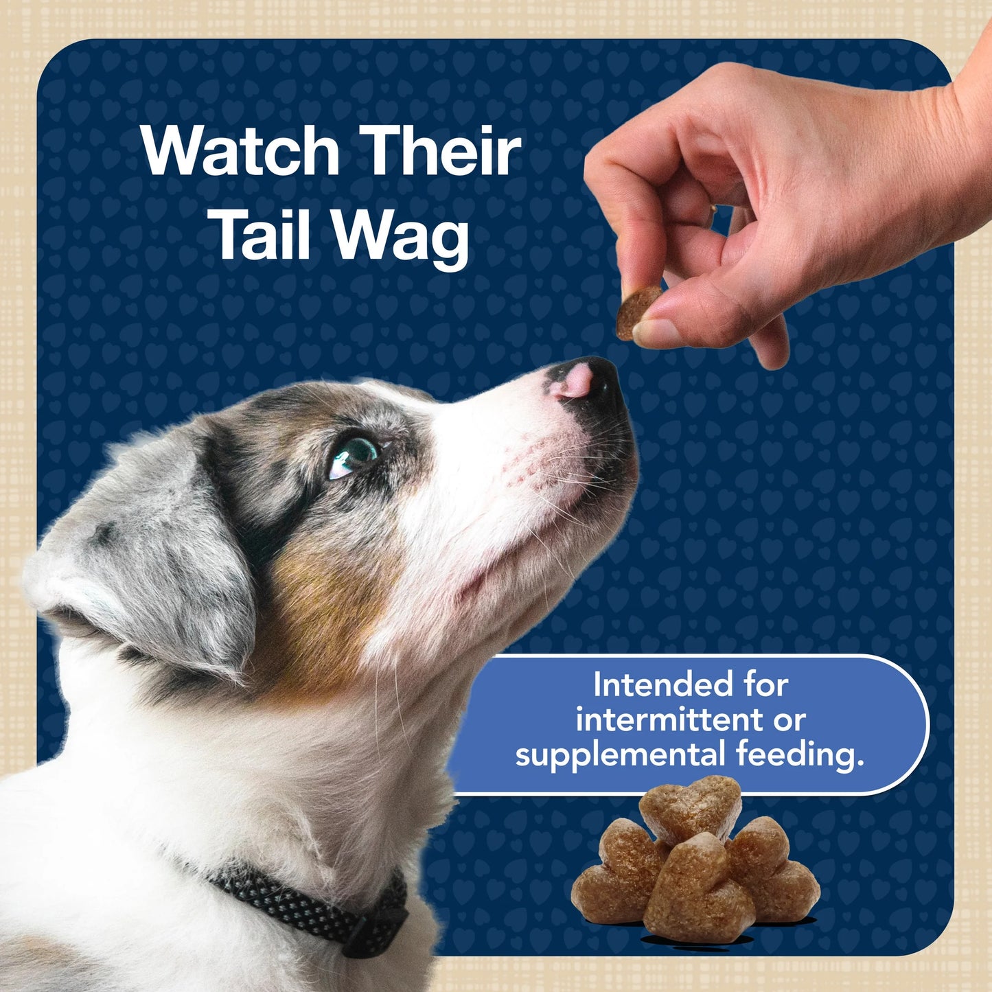 (4 Pack)  Bits Soft Dog Treats for Training, Enhanced with DHA, 4-Oz. Bag