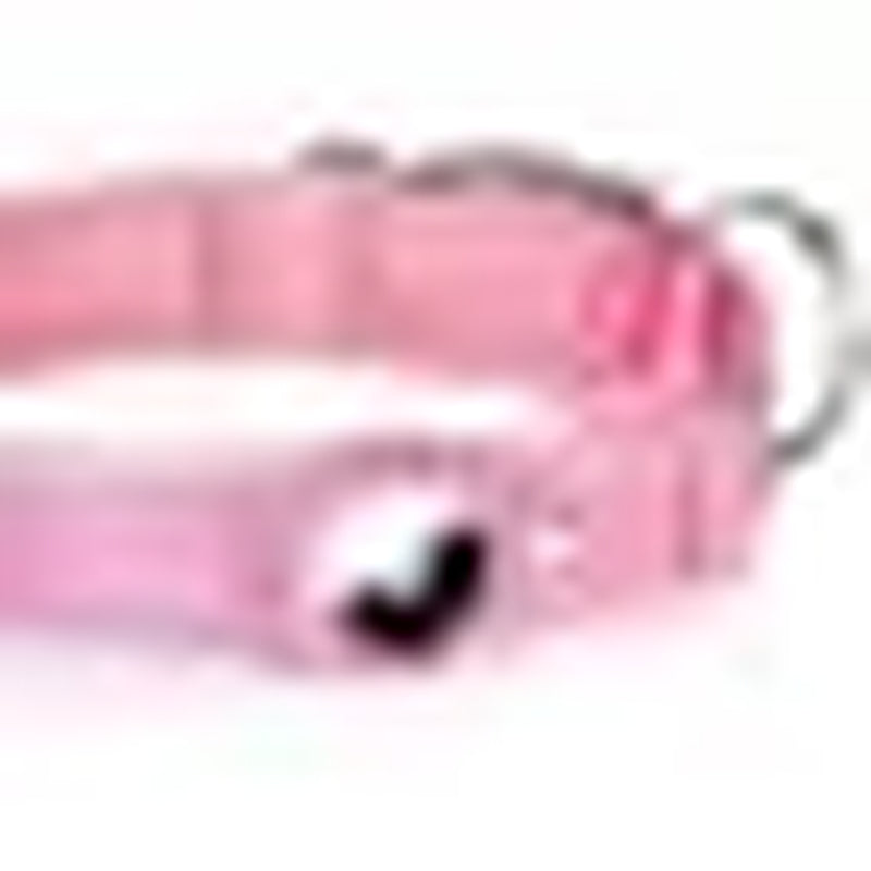 Reflective Airtag Dog Collar,Padded for Apple Air Tag Adjustable Dog Collar with Airtag Holder Case for Heavy Duty Small Medium Large Dogs