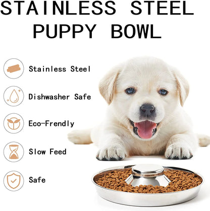Stainless Steel Puppy Bowl - Large Size (13.4") for Small Dogs & Cats - Raised Slow Feed, Easy to Clean