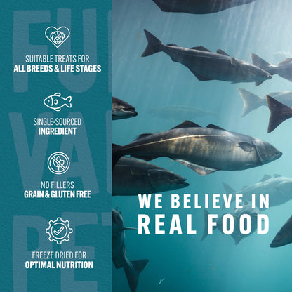 (3 Pack)  Co. Freeze Dried Raw Salmon Treats & Topper for Dogs and Cats - 1 Oz.