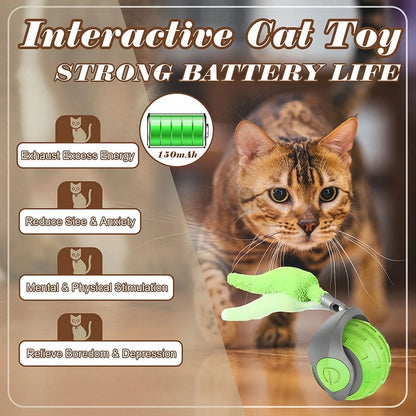 Cat Interactive Ball Toys Rolling Ball Faux Tail Rechargeable Smart Pet Toys Interactive Toys for Indoor Cats（2Pcs)