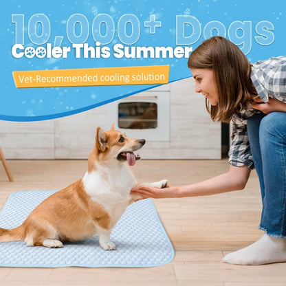 Dog Cooling Mat Breathable Cooling Pad for Dog Cats Washable Pet Cooling Mat for Indoor Outdoor Pets with Non-Slip Bottom Summer Heat Relief Portable Medium, 36X24 Inch, Blue