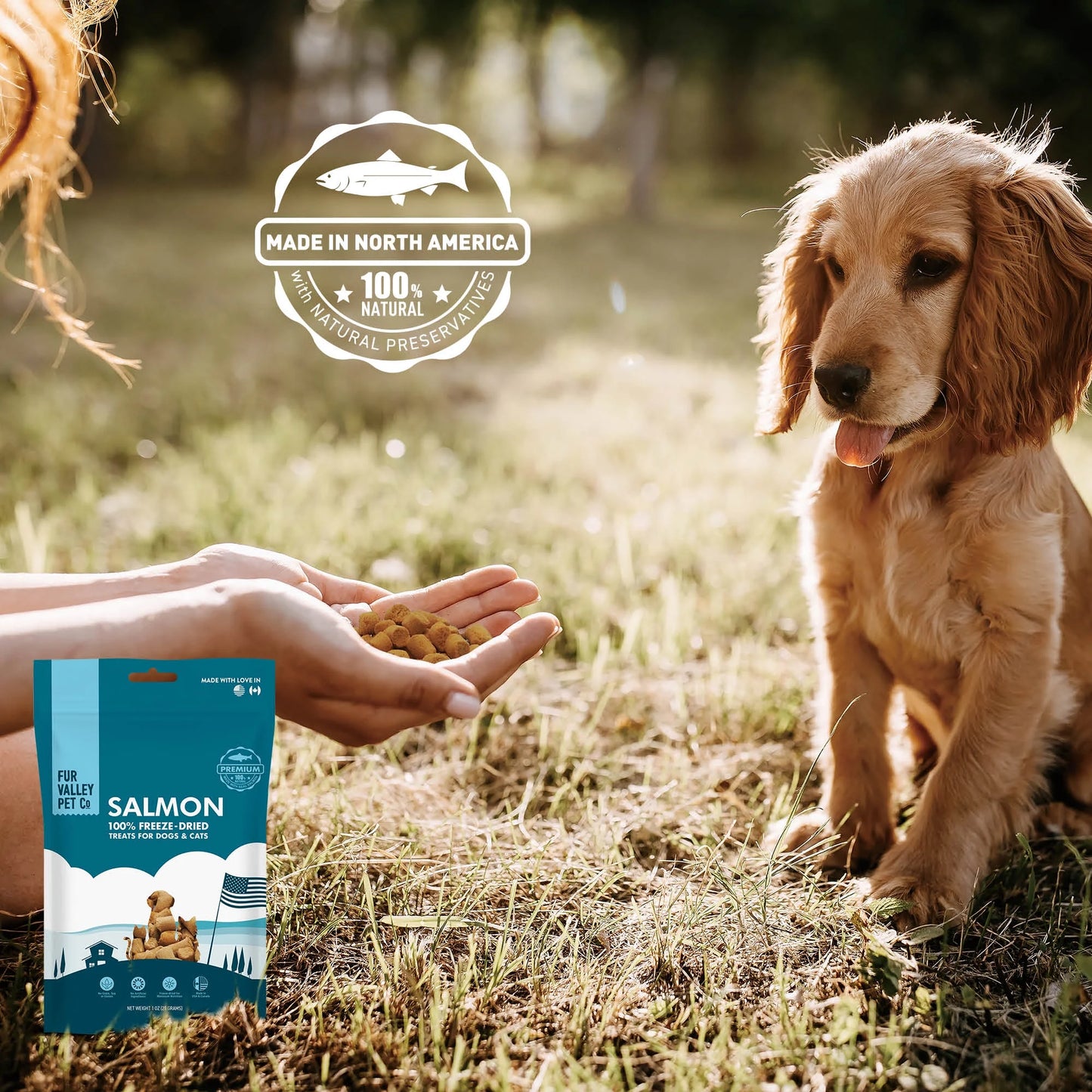 (3 Pack)  Co. Freeze Dried Raw Salmon Treats & Topper for Dogs and Cats - 1 Oz.