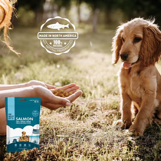 (3 Pack)  Co. Freeze Dried Raw Salmon Treats & Topper for Dogs and Cats - 1 Oz.