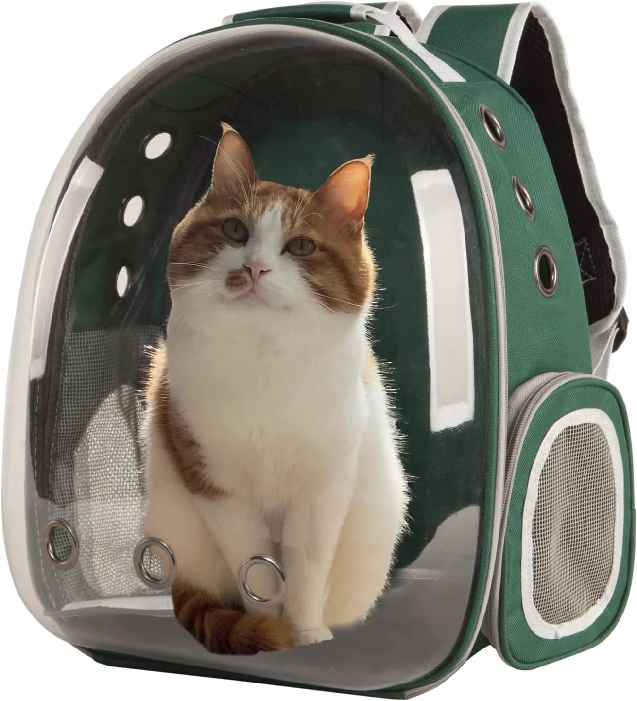Pet Cat Carrier Backpack Transparent Space Capsule Pet Dog Bubble Bag Hiking Backpack Airline Approved Travel Carrier, Green